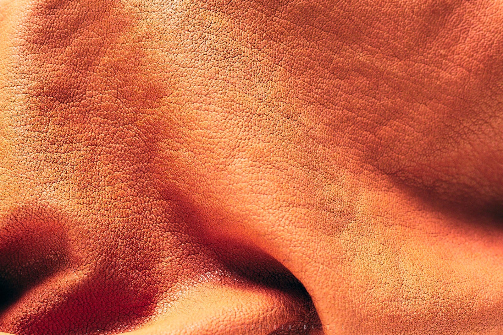 Foto de producto. Pieles. Empresa Curtido Vázquez, Zaragoza. Foto por Amaury Cabrera.